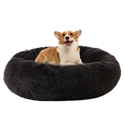 Köpek Ürünleri